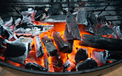 E&C CHARCOAL: Balancing Export and Local Markets Assists KZN Manufacturer