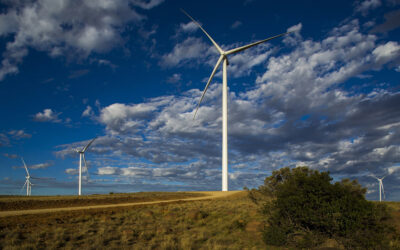 Lekela: Turning Up the Focus on African Renewable Energy