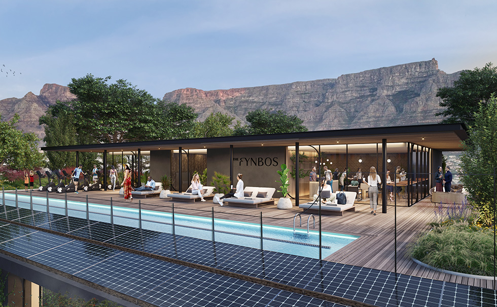 DOGON GROUP PROPERTIES: Cape Property Sensation Thrives Through Pandemic