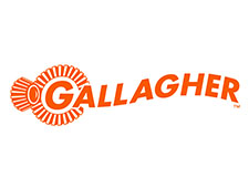 Gallagher