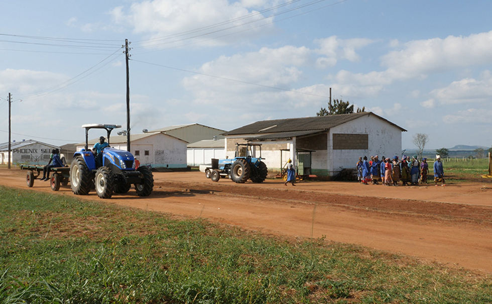 HOLLARD MOZAMBIQUE: Securing Better Futures Through Pioneering Agri Insurance Scheme