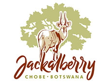 Jackalberry Chobe Botswana