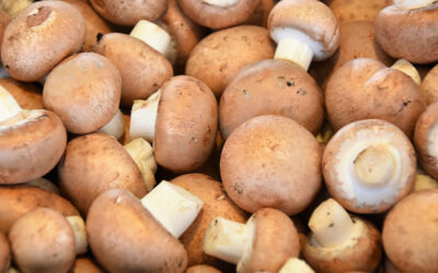 DENNY MUSHROOMS: Adding Sustainable Goodness to Every Meal