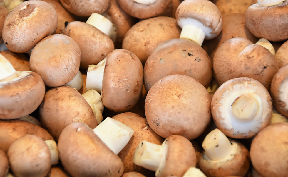 DENNY MUSHROOMS: Adding Sustainable Goodness to Every Meal