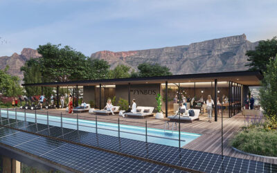 DOGON GROUP PROPERTIES: The Fynbos Takes Root in Cape Town