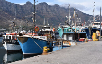PREMIER FISHING SOUTH AFRICA: Consolidating Strength While Hunting for Growth