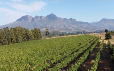 TERRACLIM: SA Developed Climate Tool to Drive Agri Insight