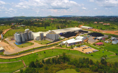 NILE BREWERIES: Golden Nile Brew Unparalleled in Quality