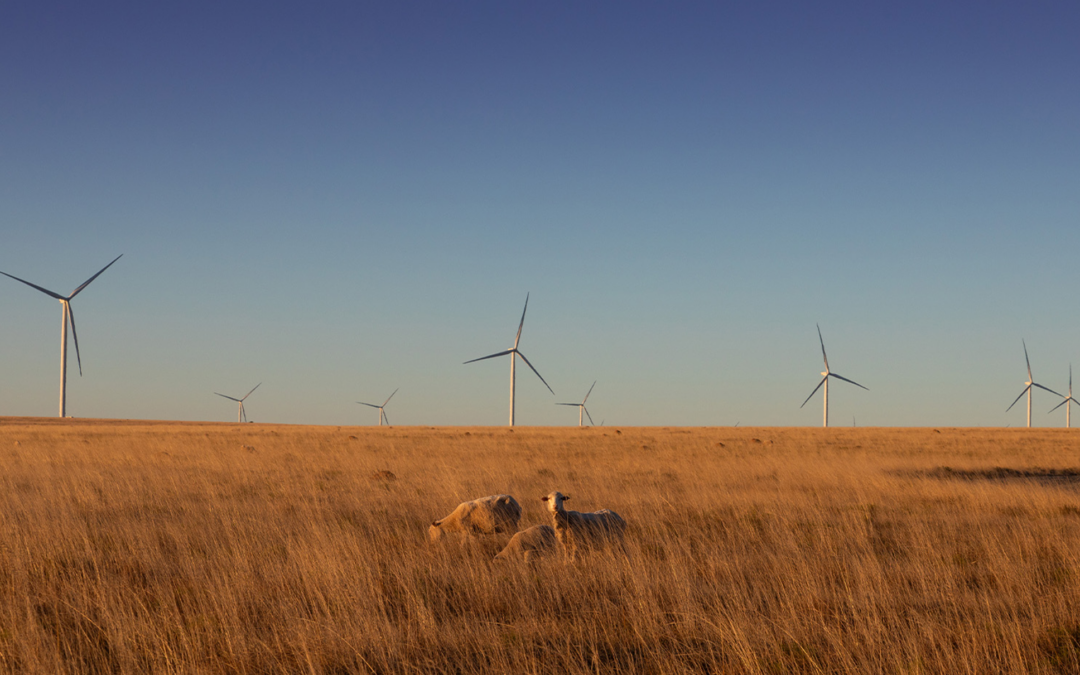 EXXARO RESOURCES: Balancing Coal and Sustainability in SA’s Energy Landscape