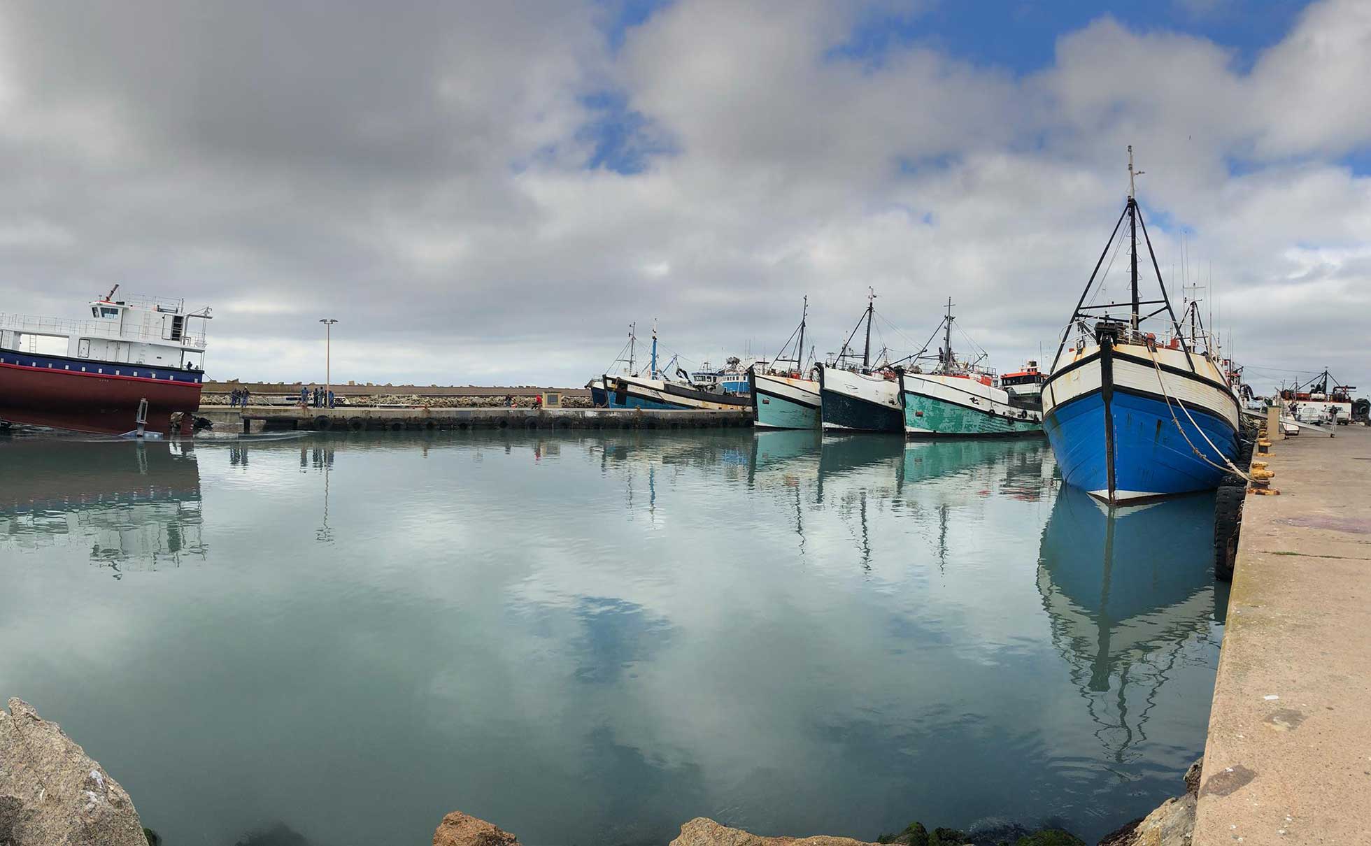 TALLIE MARINE: Local Quality Shines Through Yet Again